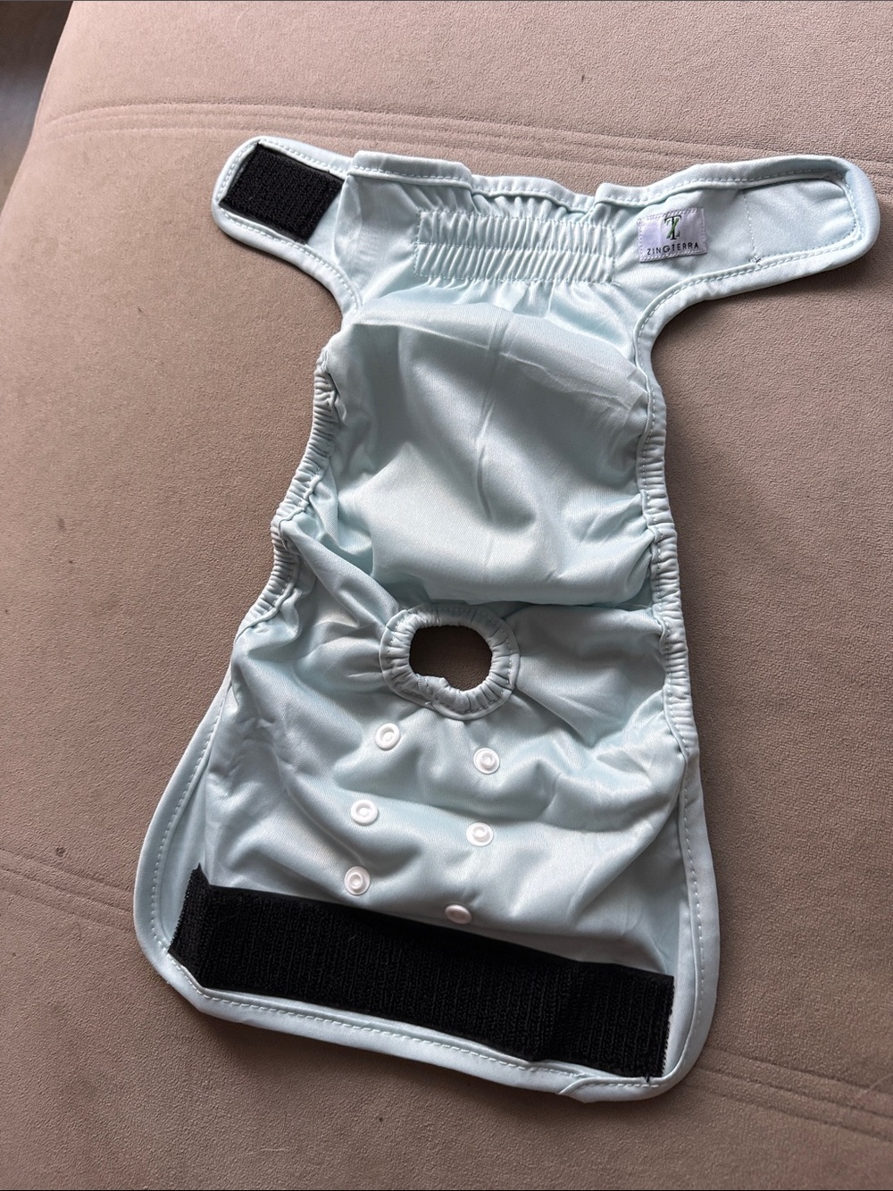 MEDIUM DOG Reusable Diaper - Light Mint
